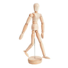 Дървен модел на човешкото тяло на поставка
