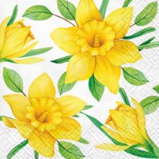 Салфетки за декупаж Daffodils in Bloom - 1 бр.