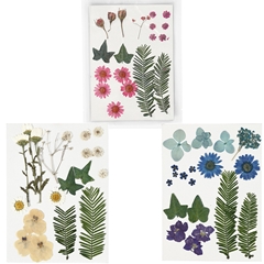 Пресовани цветя и листа - различни варианта