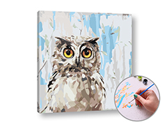 Рисуване по номера MUDRA Сова | ниска трудност