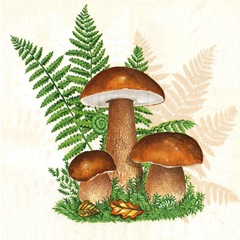 Салфетка за декупаж Boletus with Leaves of Fern - 1 брой