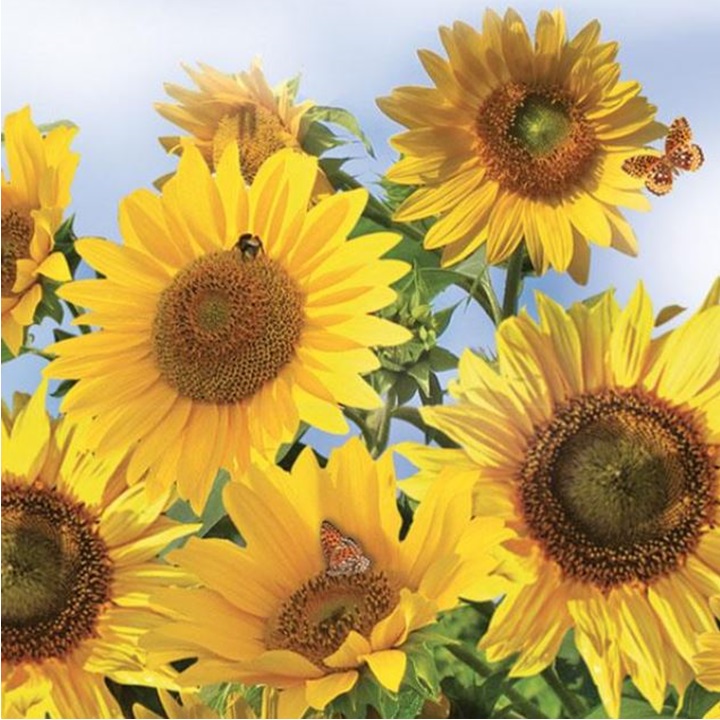 Салфетки за декупаж - Sunflowers in the Sky - 1 бр.